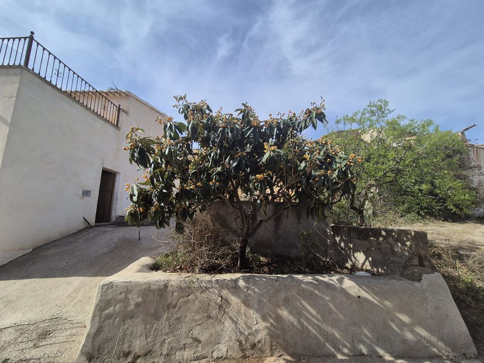 Landejendom i Cantoria, Almeria - foto 3